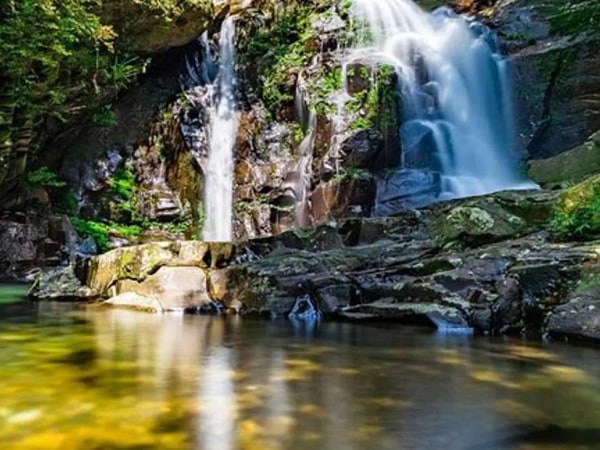 Bach Ma National Park one day tour